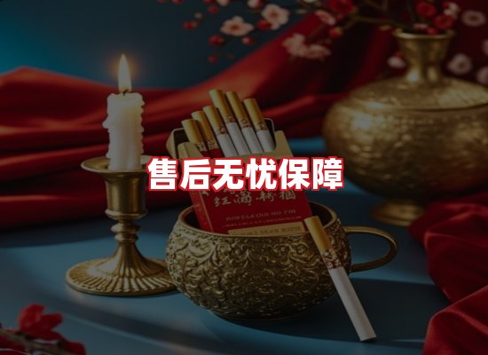 专业团队